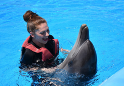 Dolphin photo session