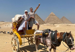 Vip Cairo by one day trip